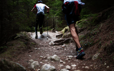 Choosing a Chiropractor in Mill Creek, Washington