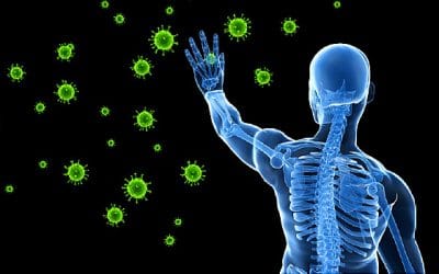 How to Naturally Increase Your Immune System