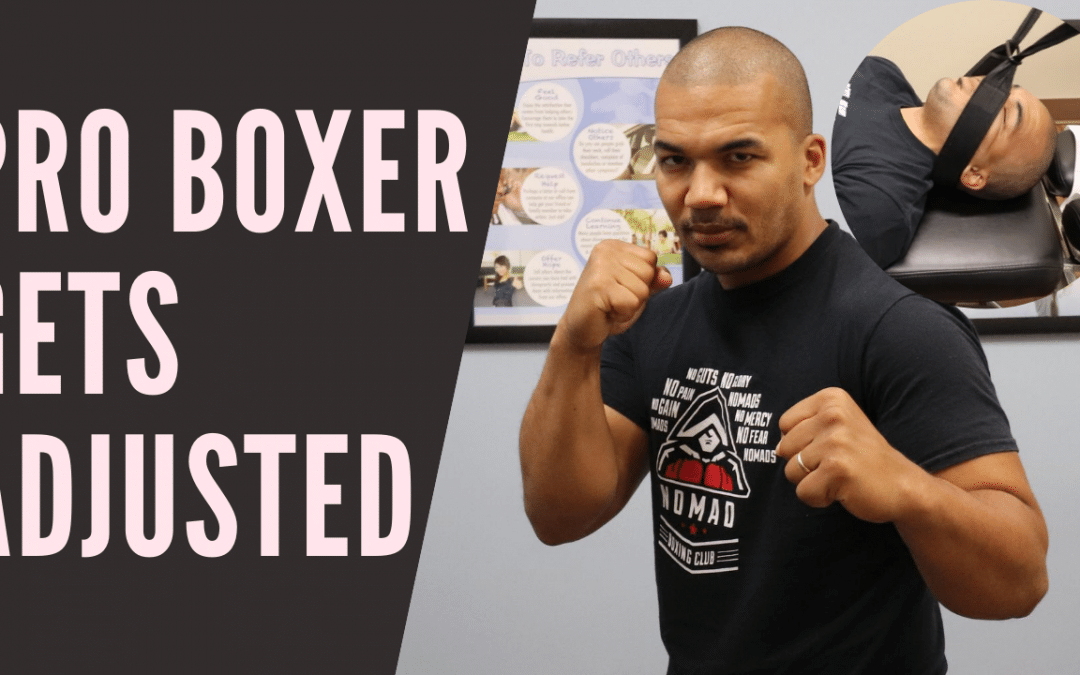 boxer gets adjusted by mill creek chiropractor