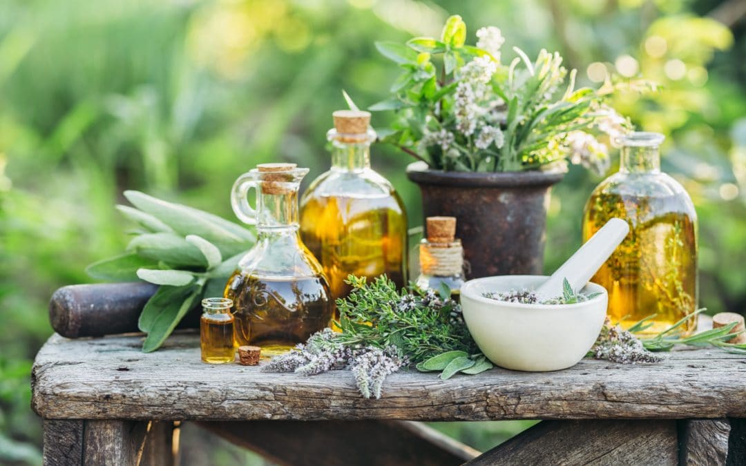 Fresh herbs from the garden and the different types of oils for massage and aromatherapy.