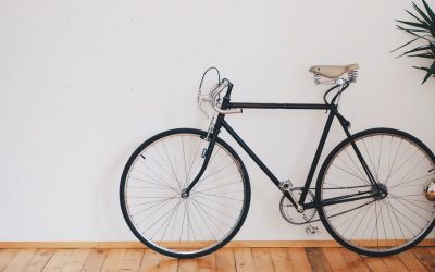 Does Exercise Boost Your Immune System?: The Science Driven Facts You Need to Know