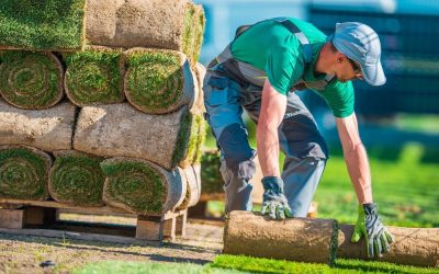 The Most Common Injuries From Landscaping Duties and How to Treat Them