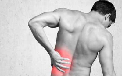 Should I see a chiropractor for a pulled back muscle?