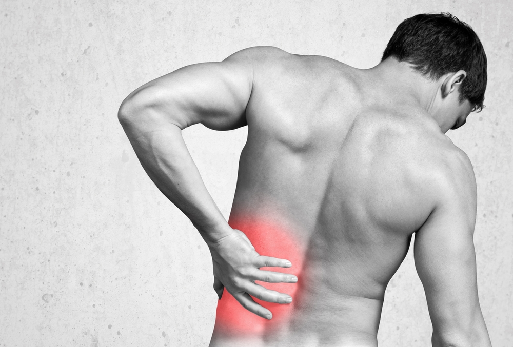 low back pain study