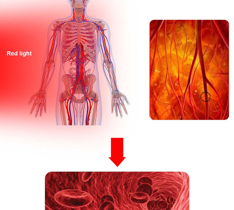 How the Red Light Table Targets Fat Loss