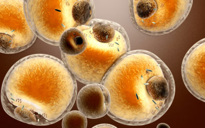 How Red Light Therapy Reduces Fat Cells