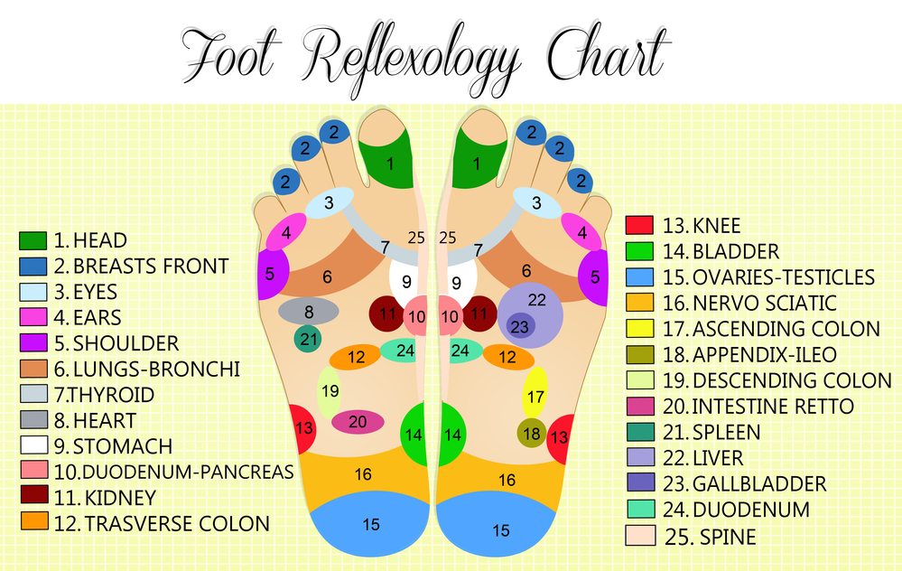 Foot reflexology chart