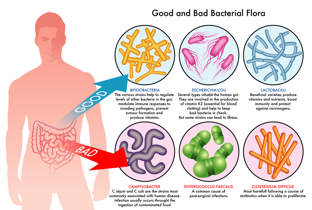 4 Easy Ways to Improve Gut Health