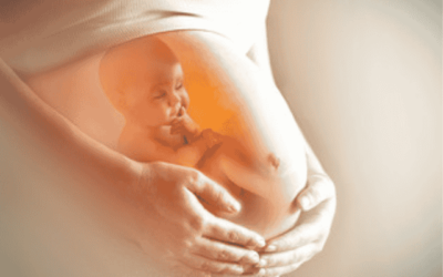 Benefits of Prenatal Chiropractic Care Explained